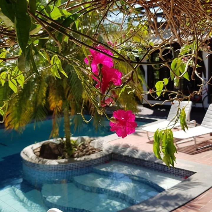 Guesthouse Mata Da Praia Vitoria Exterior photo